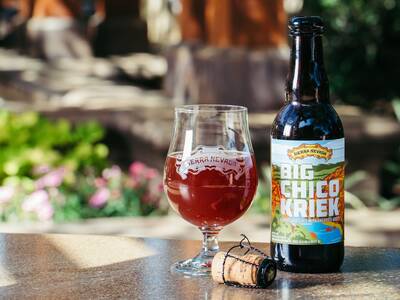 Кислый эль (sour ale)