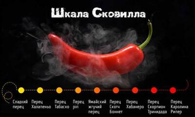 Шкала сковилла