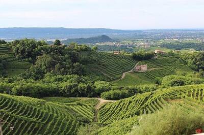 Терруар (terroir)