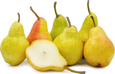 ����� �������  (williams pear)
