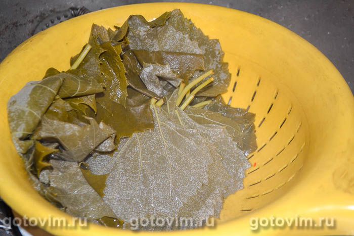 Фотографии рецепта Голубцы в виноградных листьях по-закарпатски с кукурузной крупой и рисом , 03 Голубцы в виноградных листьях по-закарпатски с кукурузной крупой и рисом , Шаг 03
