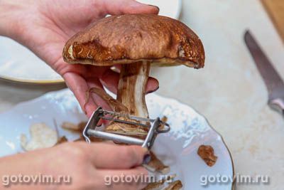 Фотографии рецепта Соленые белые грибы, 01 Соленые белые грибы, Шаг 01