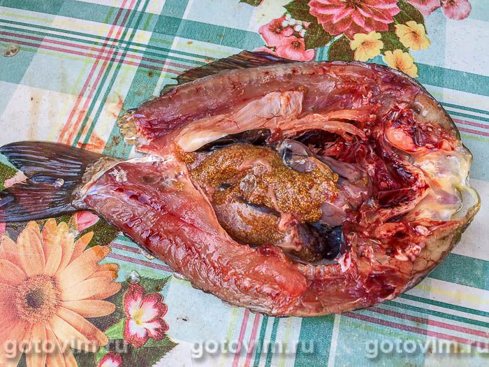 Фотографии рецепта Как завялить карася в домашних условиях, 02 Как завялить карася в домашних условиях, Шаг 02