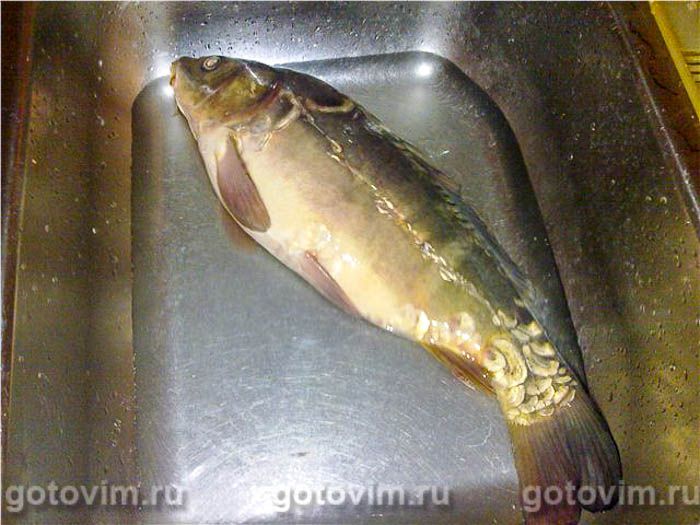 Фотографии рецепта Карп по-киевски, 01 Карп по-киевски, Шаг 01