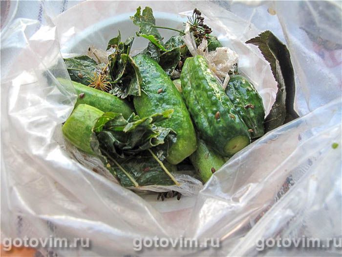Фотографии рецепта Малосольные огурцы в пакете , 02 Малосольные огурцы в пакете , Шаг 02