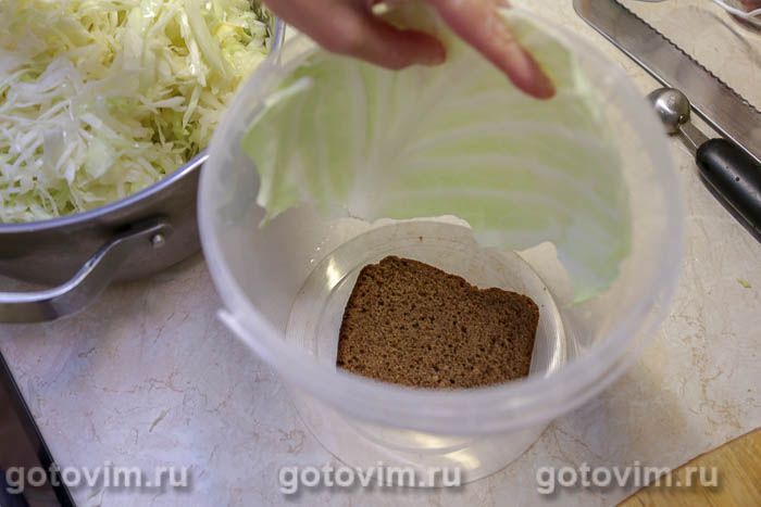Фотографии рецепта Квашеная капуста с клюквой и яблоками, 05 Квашеная капуста с клюквой и яблоками, Шаг 05