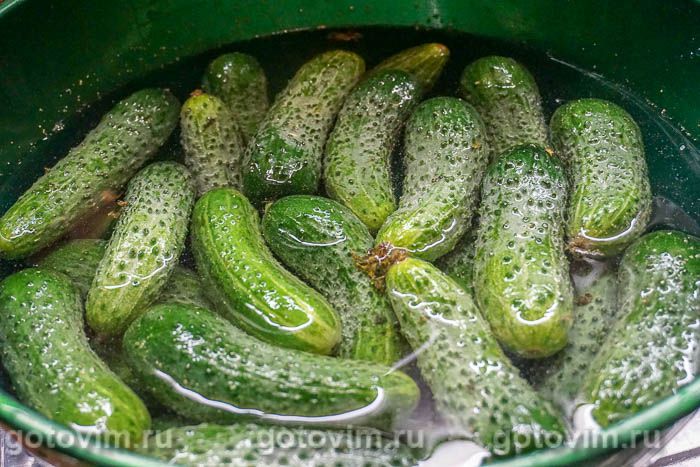 Фотографии рецепта Ассорти из маринованных овощей, 01 Ассорти из маринованных овощей, Шаг 01