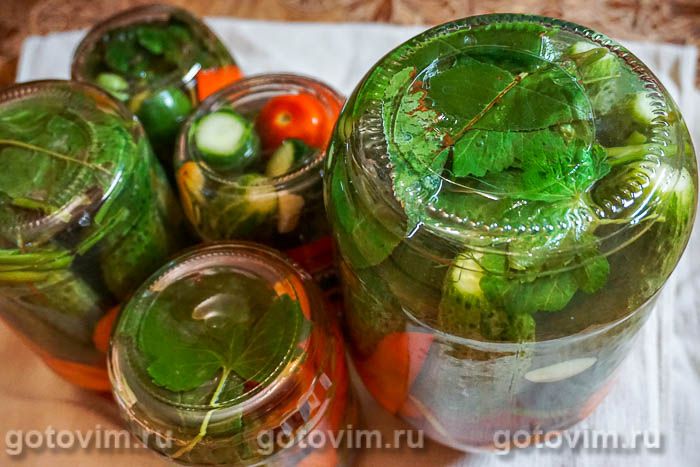 Фотографии рецепта Ассорти из маринованных овощей, 11 Ассорти из маринованных овощей, Шаг 11