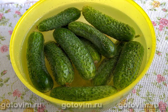 Фотографии рецепта Квашеные огурцы с кинзой на зиму, 01 Квашеные огурцы с кинзой на зиму, Шаг 01