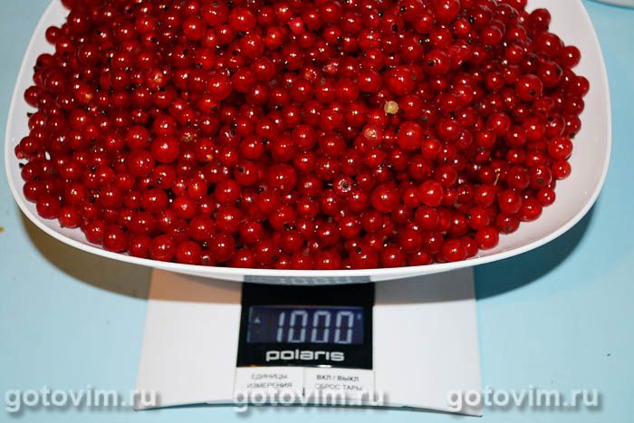 Фотографии рецепта Пастила из красной смородины в электрической сушилке, 01 Пастила из красной смородины в электрической сушилке, Шаг 01