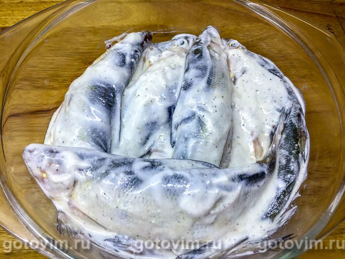 Фотографии рецепта Пелядь, запеченная в духовке со сметаной и луком, 04 Пелядь, запеченная в духовке со сметаной и луком, Шаг 04