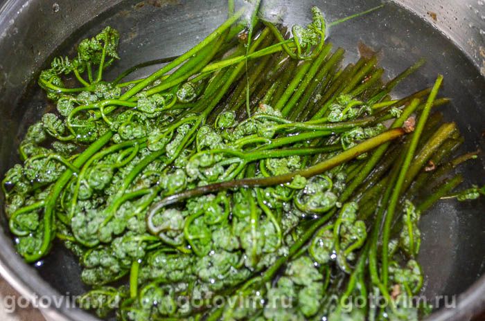 Фотографии рецепта Папоротник с мясом, 01 Папоротник с мясом, Шаг 01