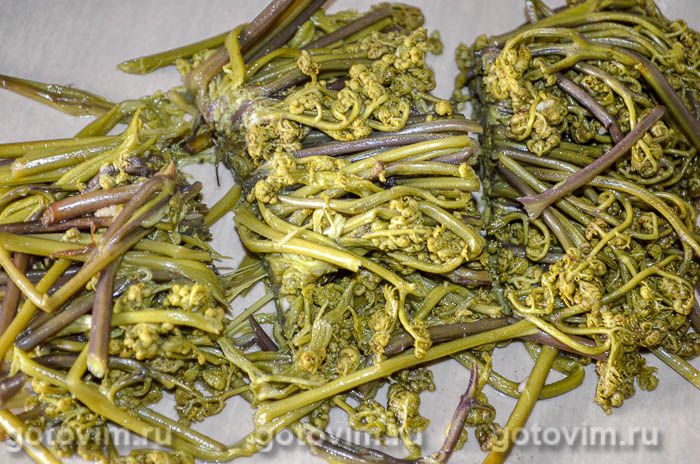 Фотографии рецепта Папоротник с мясом, 04 Папоротник с мясом, Шаг 04