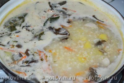 Фотографии рецепта Куриный суп с плавленым сыром и пшеном, 08 Куриный суп с плавленым сыром и пшеном, Шаг 08