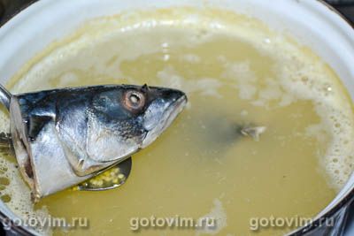 Фотографии рецепта Сливочная уха из скумбрии, 03 Сливочная уха из скумбрии, Шаг 03