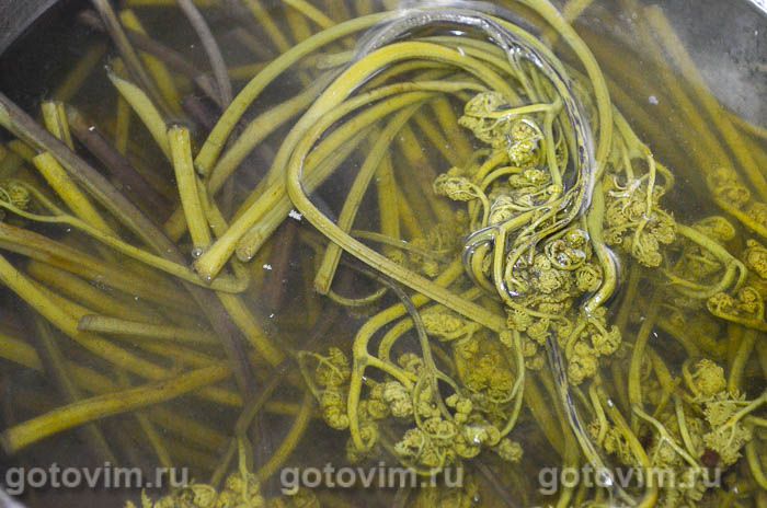 Фотографии рецепта Салат из папоротника по-корейски, 03 Салат из папоротника по-корейски, Шаг 03