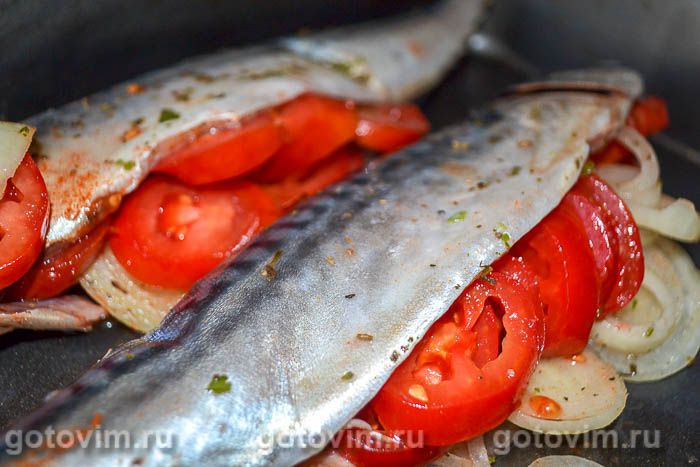 Фотографии рецепта Скумбрия с помидорами в духовке, 03 Скумбрия с помидорами в духовке, Шаг 03
