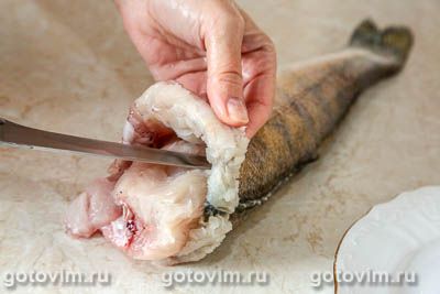 Фотографии рецепта Фаршированный судак, 01 Фаршированный судак, Шаг 01