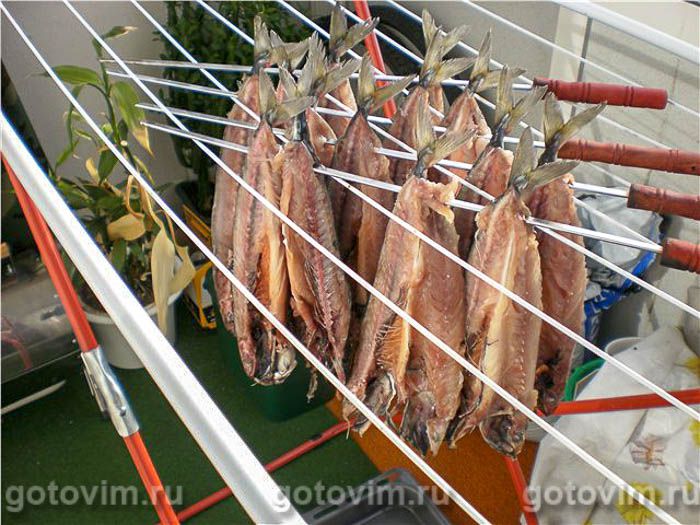 Фотографии рецепта Вяленая малосольная скумбрия, 01 Вяленая малосольная скумбрия, Шаг 01