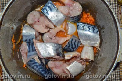 Фотографии рецепта Тушеная скумбрия с луком и морковью, 03 Тушеная скумбрия с луком и морковью, Шаг 03