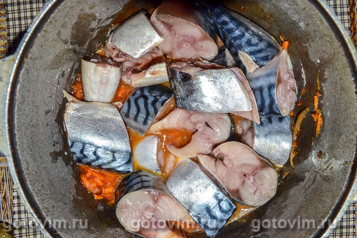 Фотографии рецепта Тушеная скумбрия с луком и морковью, 03 Тушеная скумбрия с луком и морковью, Шаг 03
