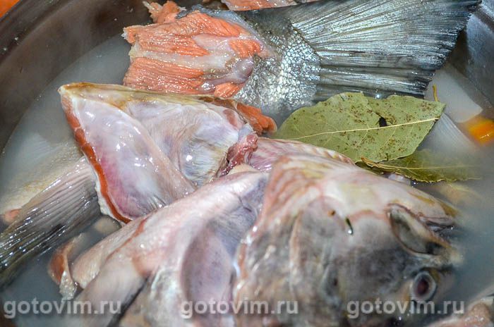 Фотографии рецепта Уха из головы и хвоста лосося, 04 Уха из головы и хвоста лосося, Шаг 04