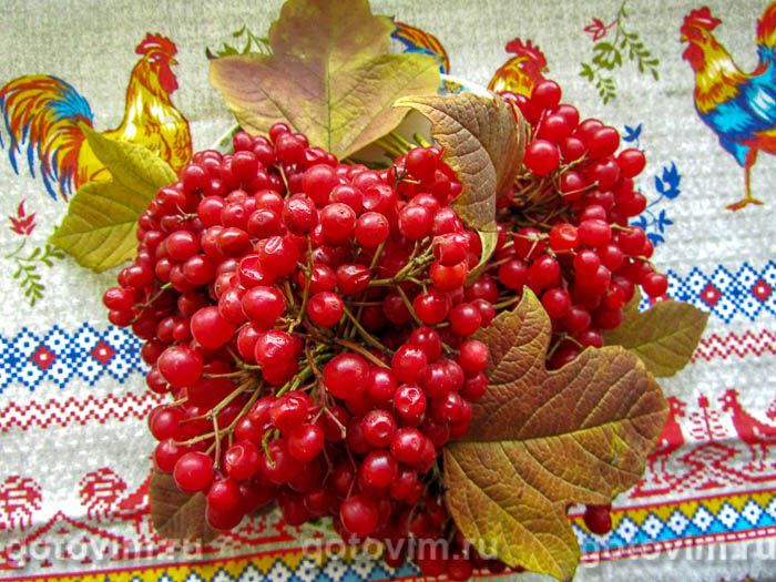 Фотографии рецепта Варенье из калины, 01 Варенье из калины, Шаг 01