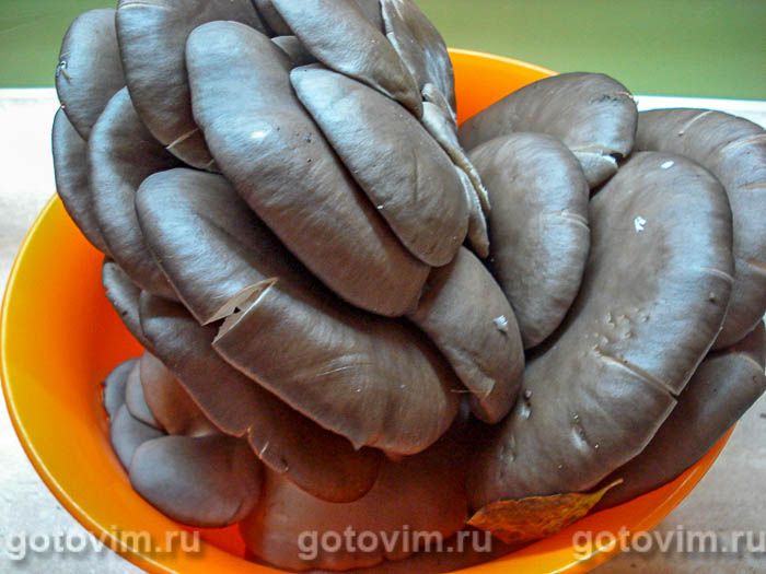 Фотографии рецепта Соленые вешенки (горячий посол), 01 Соленые вешенки (горячий посол), Шаг 01