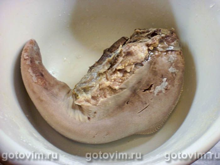 Фотографии рецепта Язык в желе, 04 Язык в желе, Шаг 04