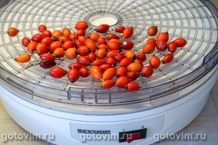 Фотографии рецепта Заготовка ягод шиповника в электросушилке, 02 Заготовка ягод шиповника в электросушилке, Шаг 02