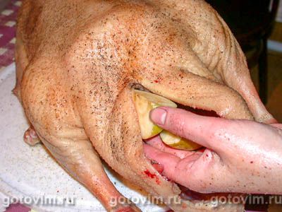 Гусь с яблоками Гусь с яблоками