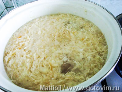 Капустняк Капустняк