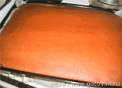 Кокосовые квадратики (Kokosrutor) Кокосовые квадратики (Kokosrutor)