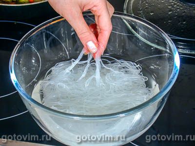 Курица с рисовой лапшой Курица с рисовой лапшой