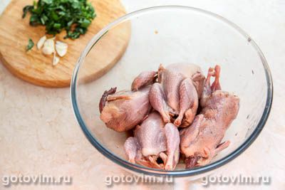 Перепелки в масле Перепелки в масле