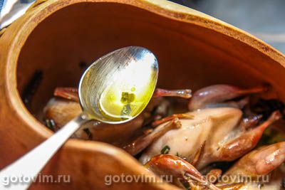 Перепелки в масле Перепелки в масле