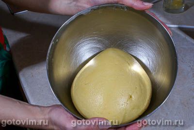 Лимонник Лимонник
