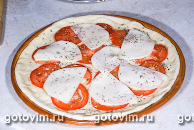 Пицца с помидорами с сыром скаморца
