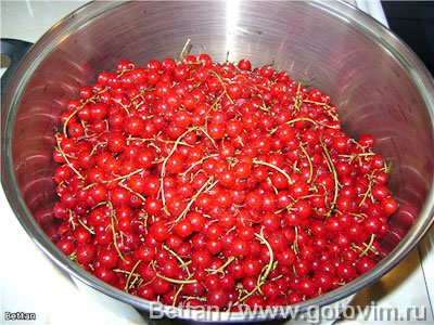 Сафт из красной смородины (компот) Сафт из красной смородины (компот)