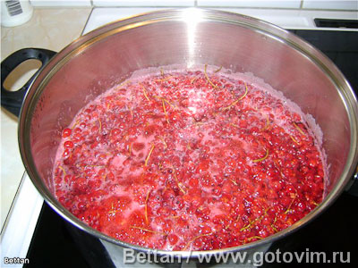 Сафт из красной смородины (компот) Сафт из красной смородины (компот)