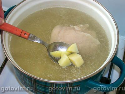 Щи из свежей капусты Щи из свежей капусты