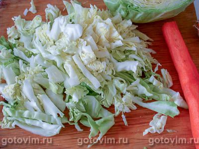 Щи из свежей капусты Щи из свежей капусты