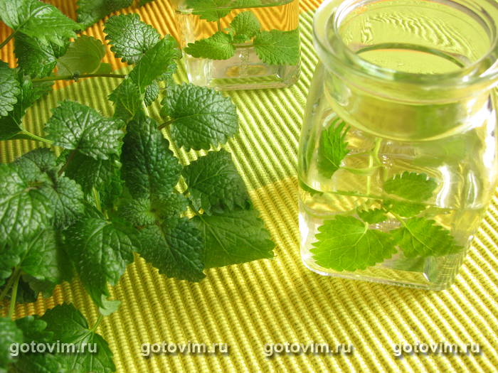 Уксус с мелиссой Уксус с мелиссой