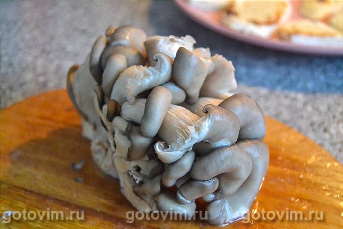 ������� ���������� ��� � �������, ��� 01