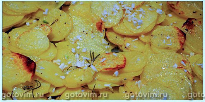 ������� ������� ��� �������� (������� ������� �� ��������, �������� � ����� � ����������), ��� 04