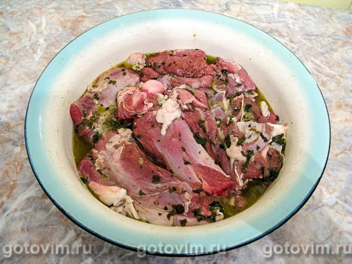 ���� �������� �������, ���������� � ����� � ����� (Vesi � Gluck), ��� 01