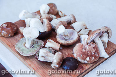Консервированные жареные белые грибы , Шаг 01