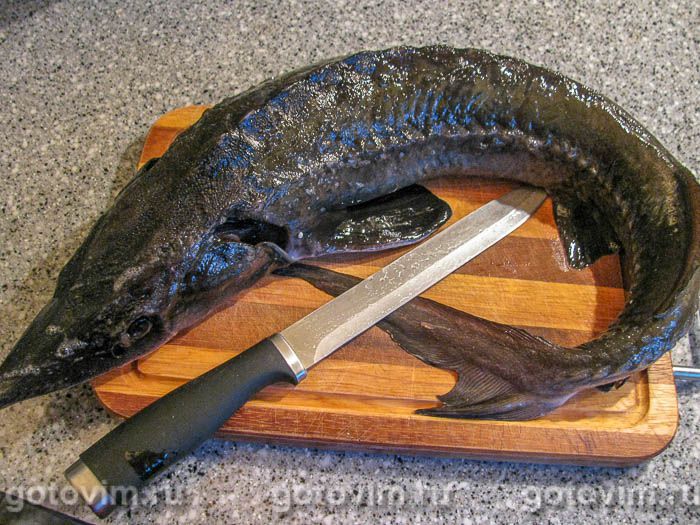 ��������� � �����, ��� 01