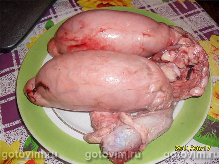 ������� � ������� ����� ���� , ��� 01