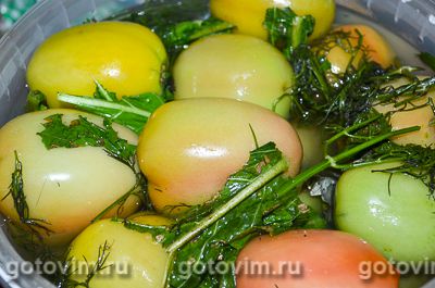 Соленые зеленые помидоры с горчицей, Шаг 04